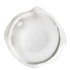 Assiettes Artic