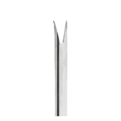 Curette à homard