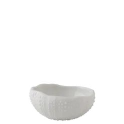 Mini oursin blanc 5 x 5 cm H 2.5 cm 2 cl